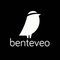 Benteveo