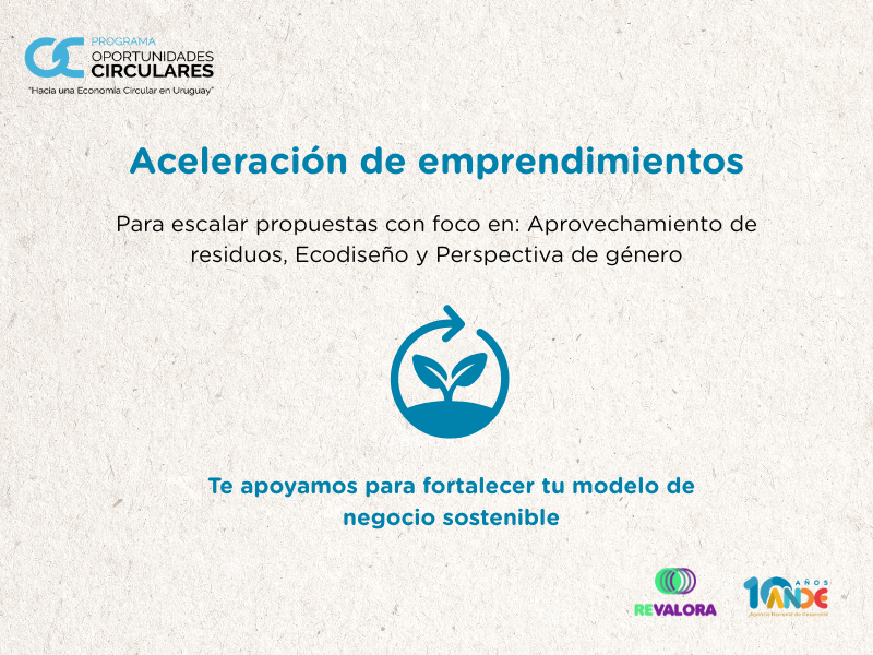Web_ANDE_Aceleracion_de_emprendimientos