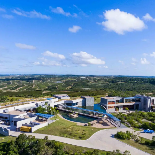 Bodega Garz&oacute;n