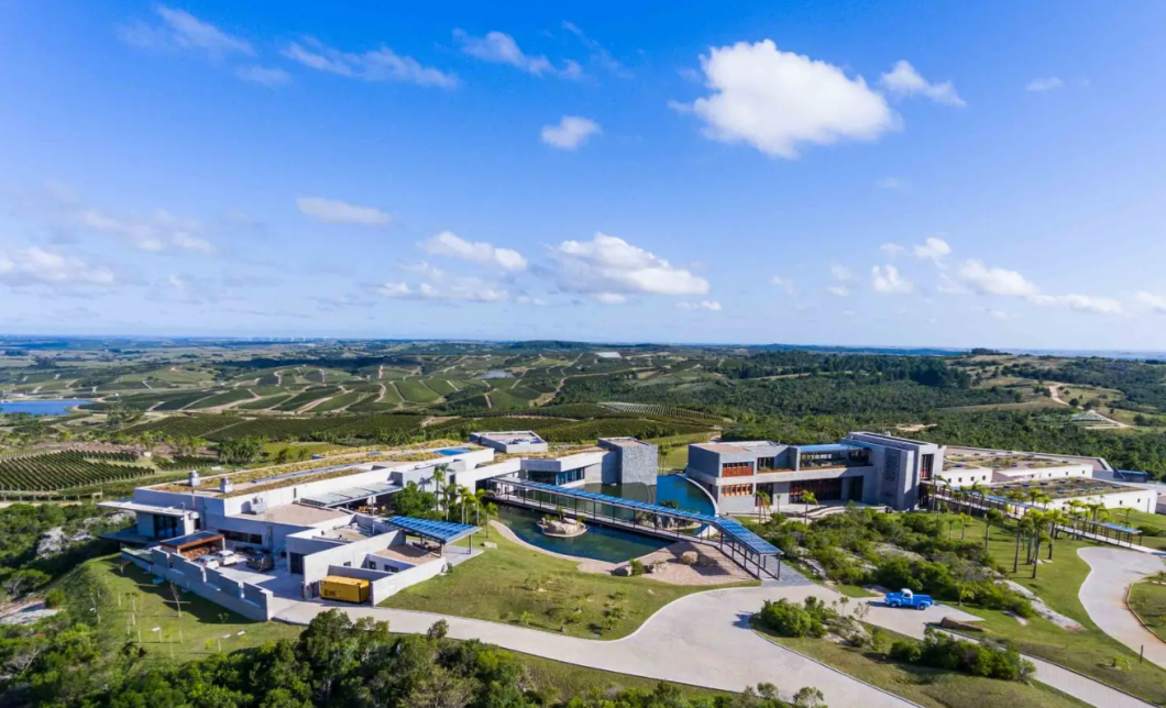 Bodega Garz&oacute;n