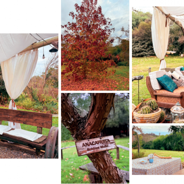 La Casa del Bosque - Sencilla Naturaleza