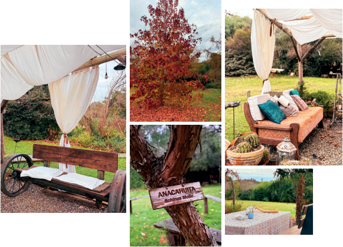 La Casa del Bosque - Sencilla Naturaleza