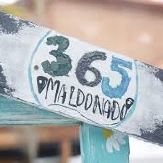 Maldonado 365